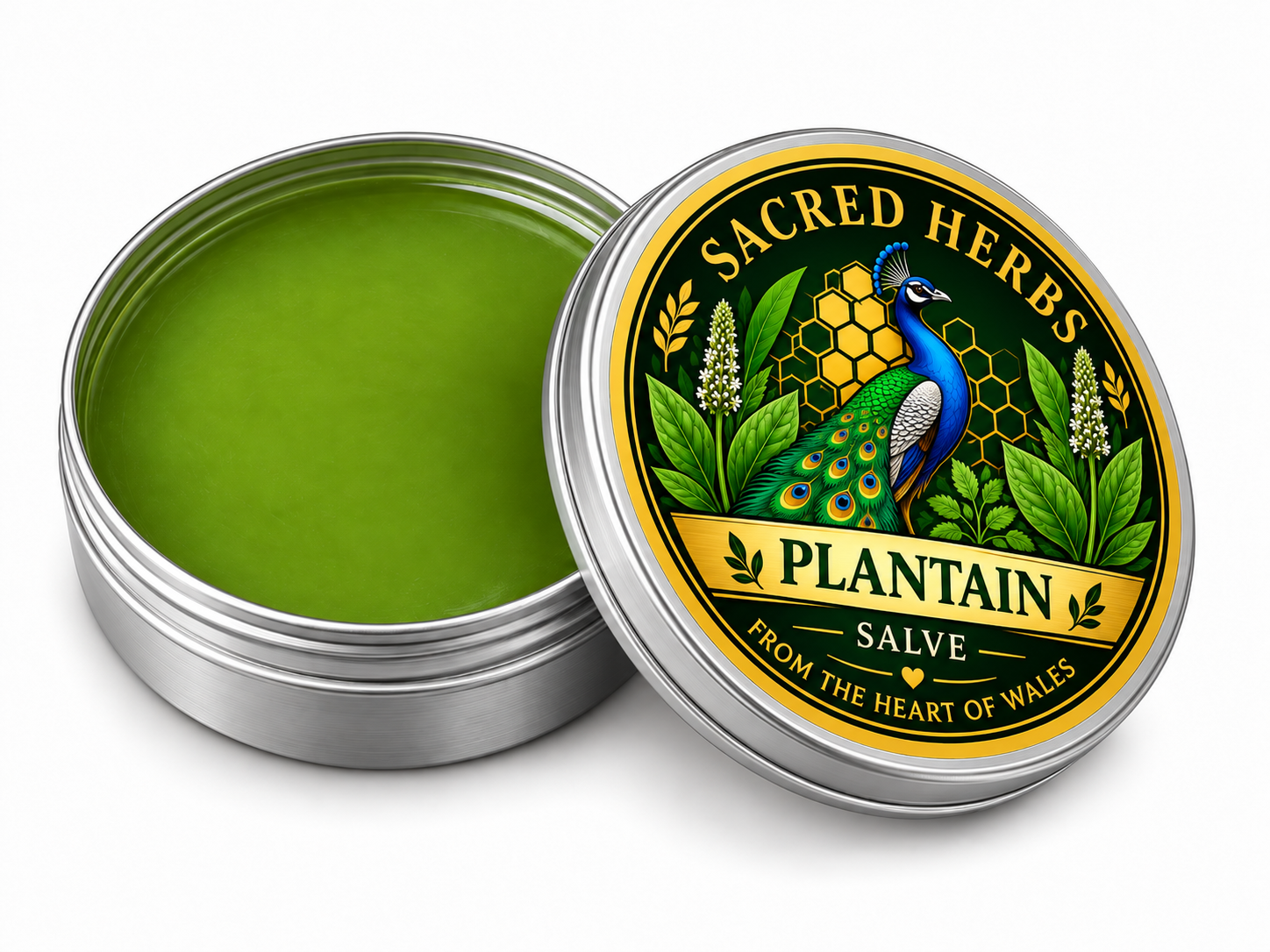 Plantain Salve natural herbal salve in a 50ml tin, handcrafted in Wales, UK