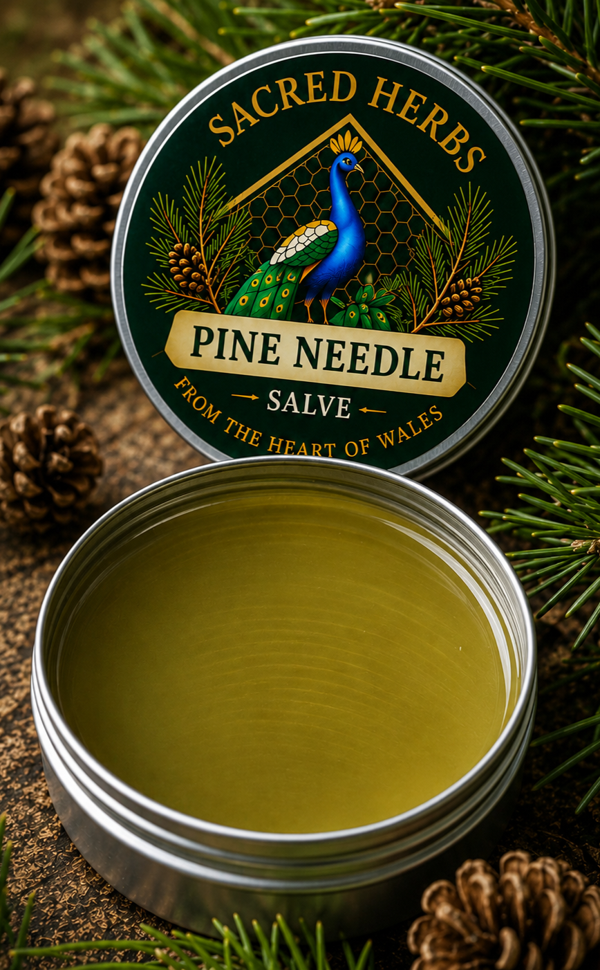 Pine Needle Salve handcrafted herbal remedy made in Wales, UK