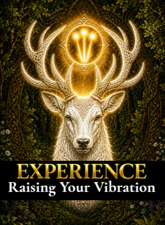 Experience Raising Your Vibration