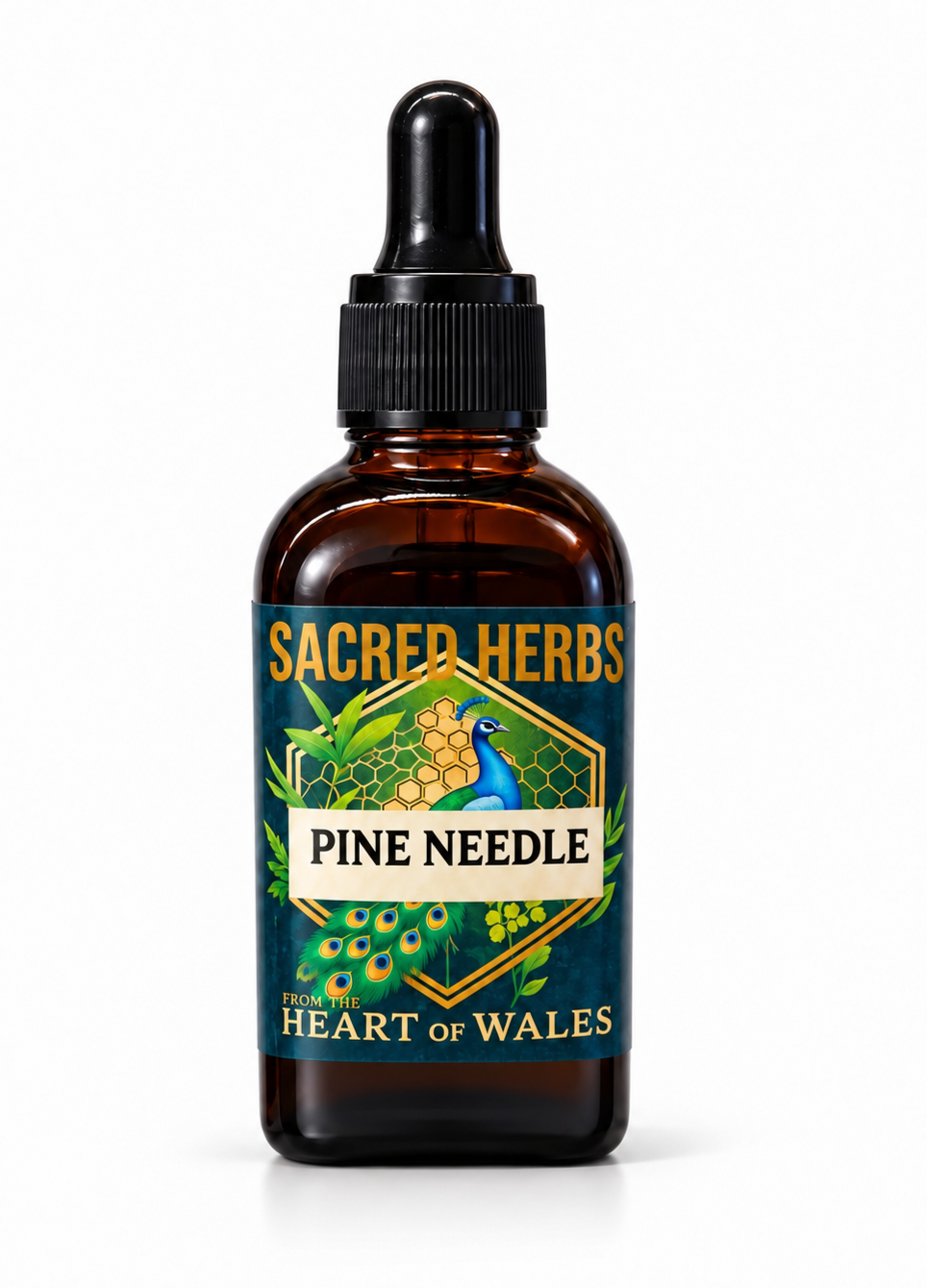 Pine Needle Tincture handcrafted herbal tincture, wild-harvested and made in Wales, UK